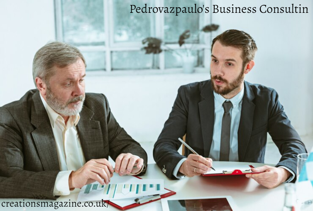 Pedrovazpaulo's Business Consulting